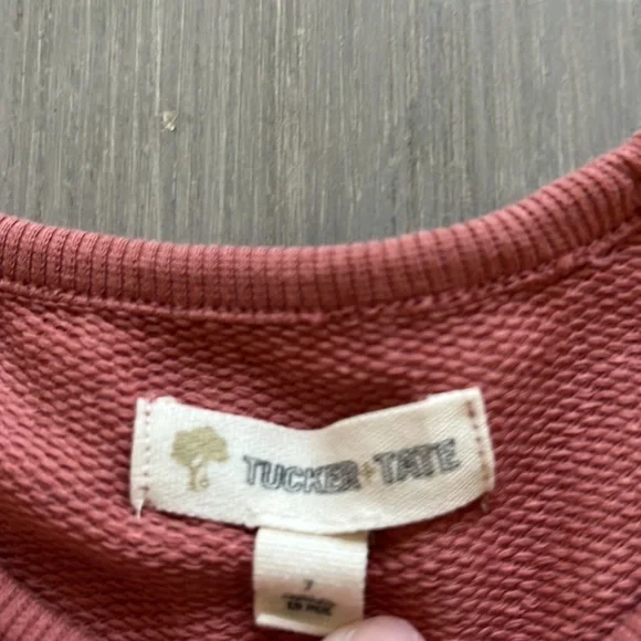 Tucker and Tate Rust Glitter Heart Dress - Picture 3 of 4